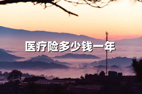医疗险多少钱一年？2025年最新投保成本与政策趋势解析