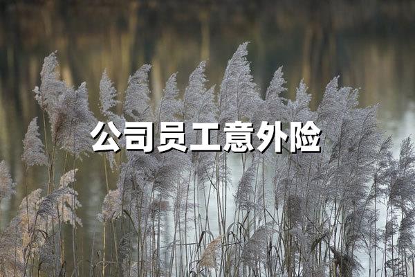 公司员工意外险：2025年企业风险保障的三大核心策略与实操指南