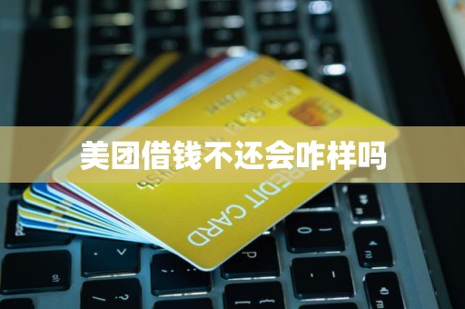 美团借钱不还会咋样吗