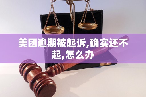 美团逾期被起诉,确实还不起,怎么办