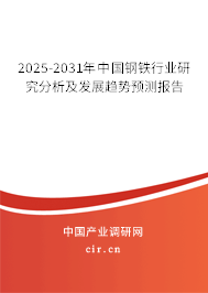 （最新）中国钢铁行业研究分析及发展趋势预测报告