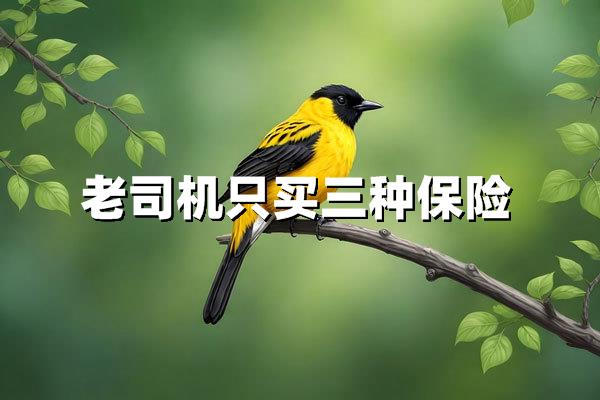 老司机只买三种保险：2025年省钱避坑的全攻略