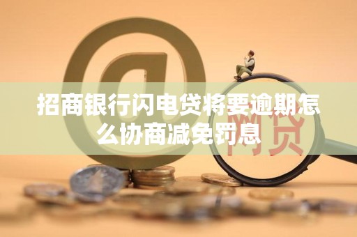招商银行闪电贷将要逾期怎么协商减免罚息