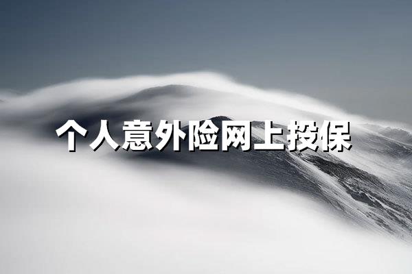 个人意外险网上投保：全天候守护的智慧选择
