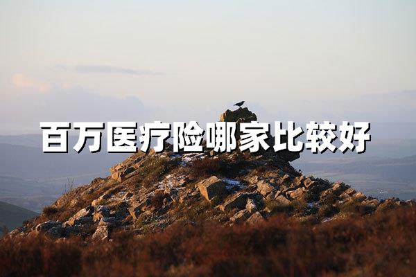 百万医疗险哪家比较好？2024投保攻略与产品深度解析
